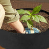 PlantBed® | Upphöjd odlingsbädd